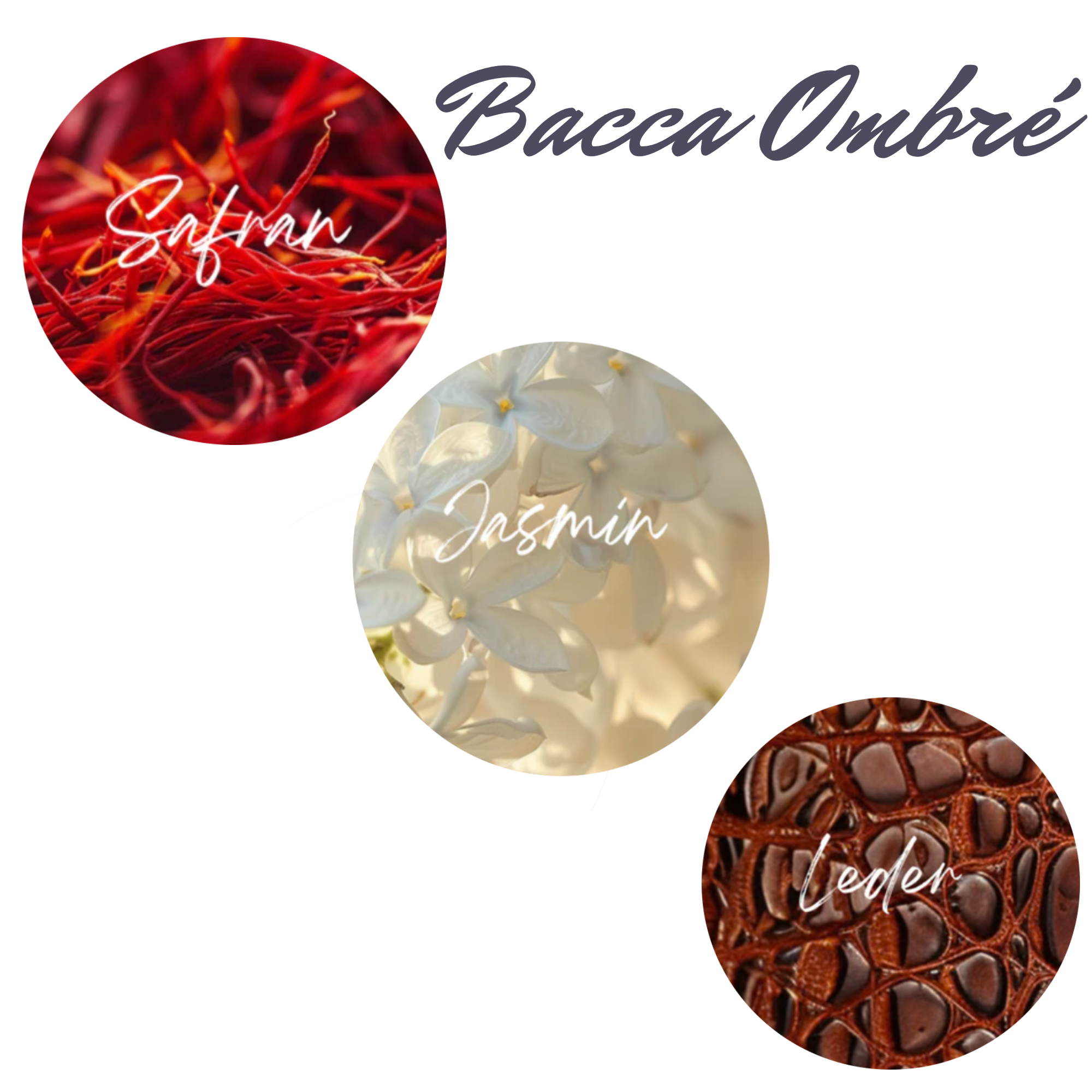 500 ml pure Eleganz - Bacca Ombré by CARAT Living